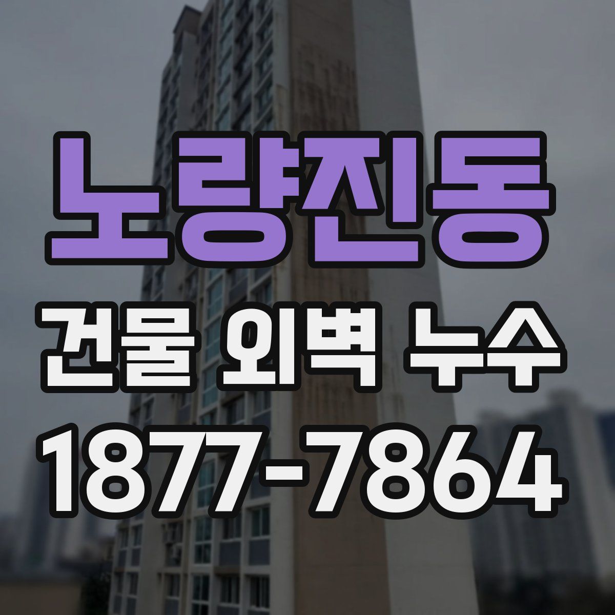 노량진동 건물 외벽 누수