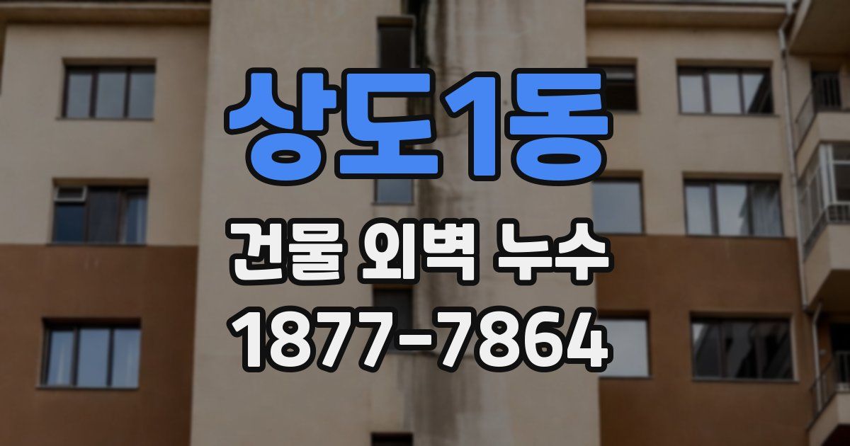 상도1동 건물 외벽 누수