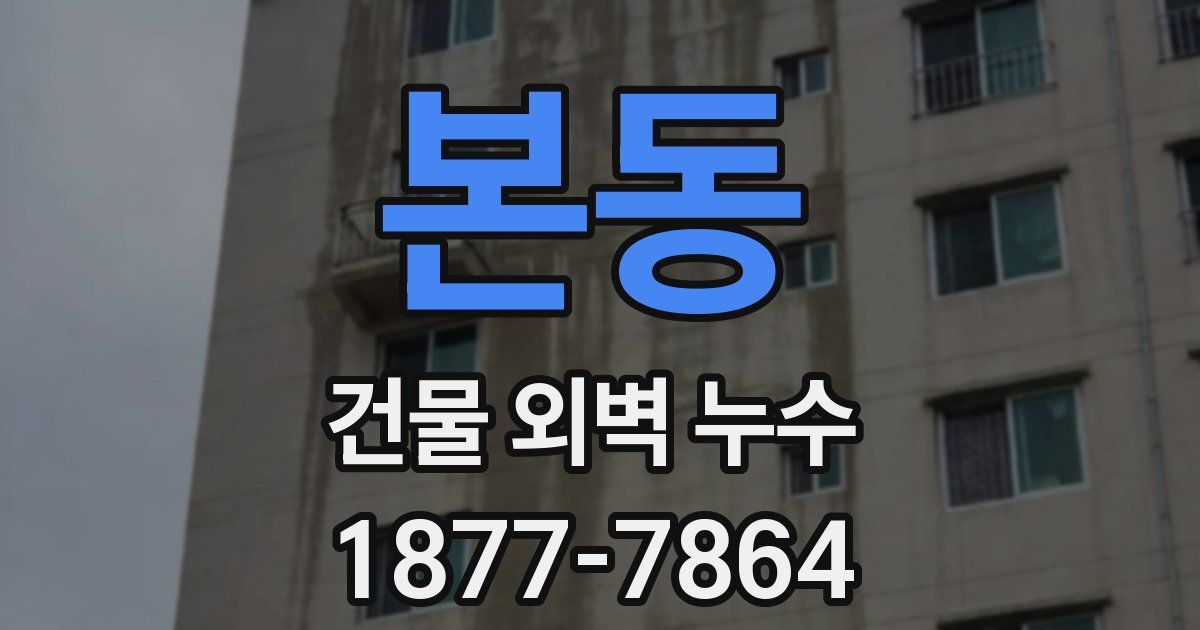 본동 건물 외벽 누수