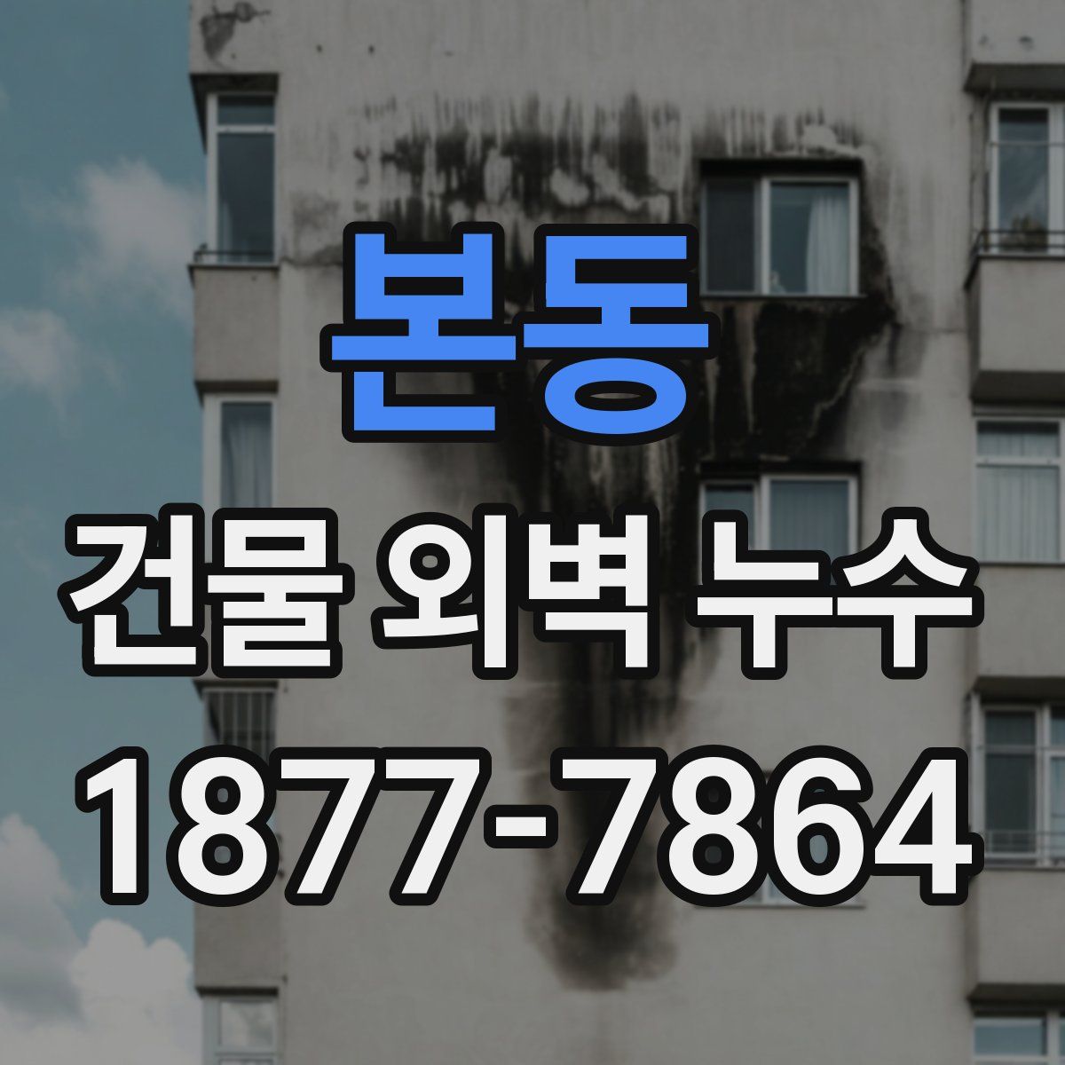 본동 건물 외벽 누수