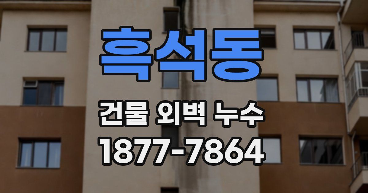 흑석동 건물 외벽 누수