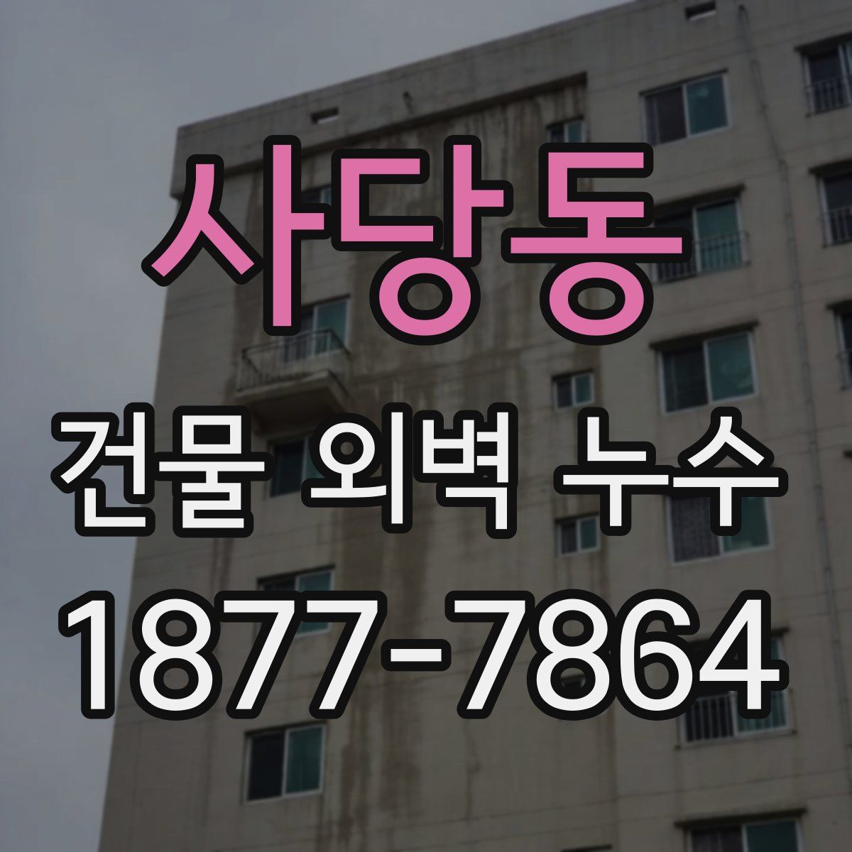 사당동 건물 외벽 누수