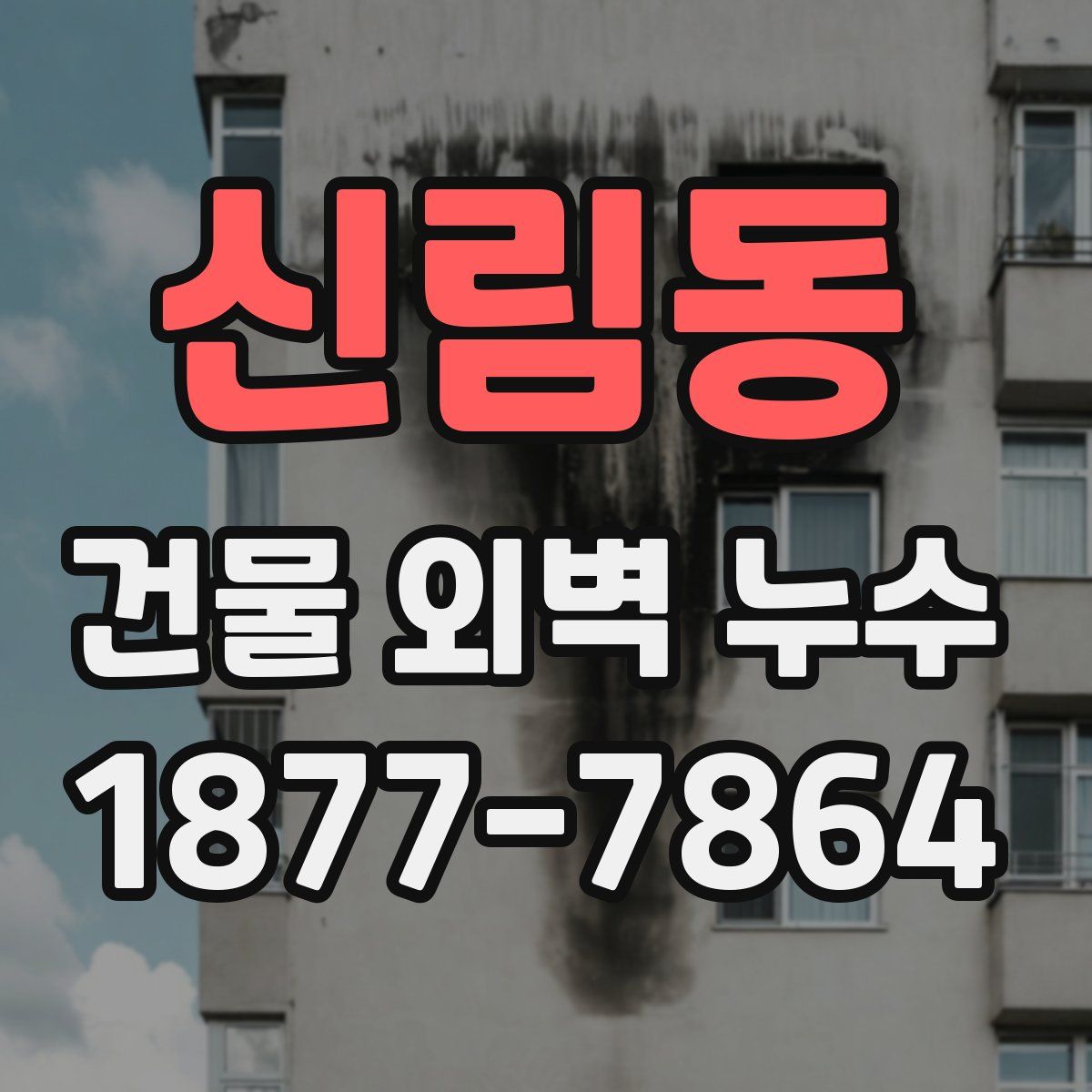 신림동 건물 외벽 누수
