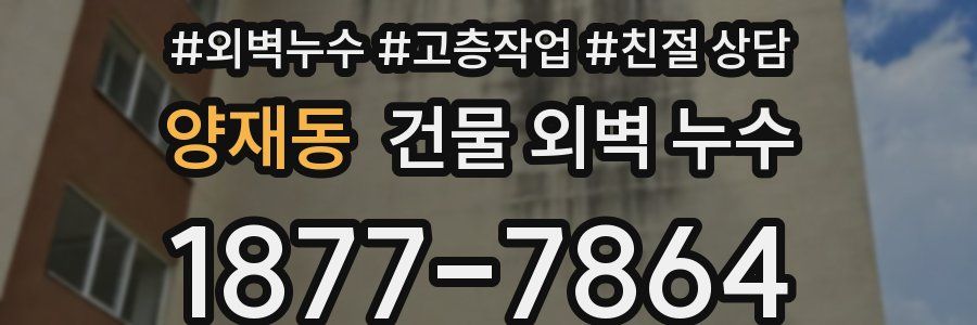양재동 건물 외벽 누수