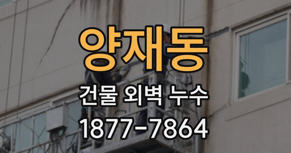 양재동 건물 외벽 누수