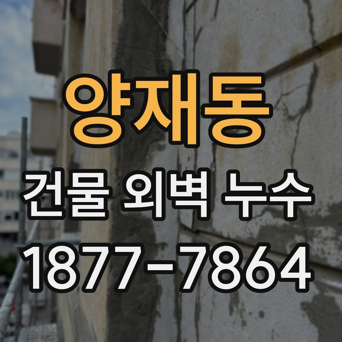 양재동 건물 외벽 누수