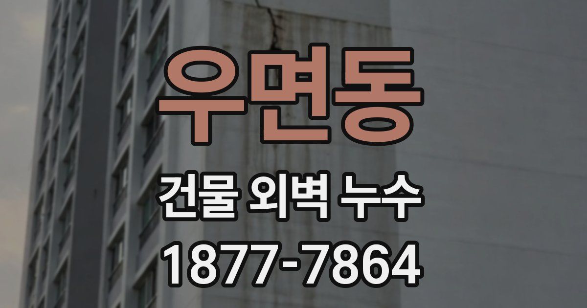 우면동 건물 외벽 누수