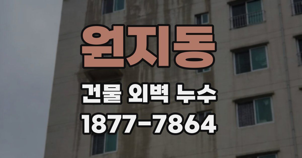 원지동 건물 외벽 누수