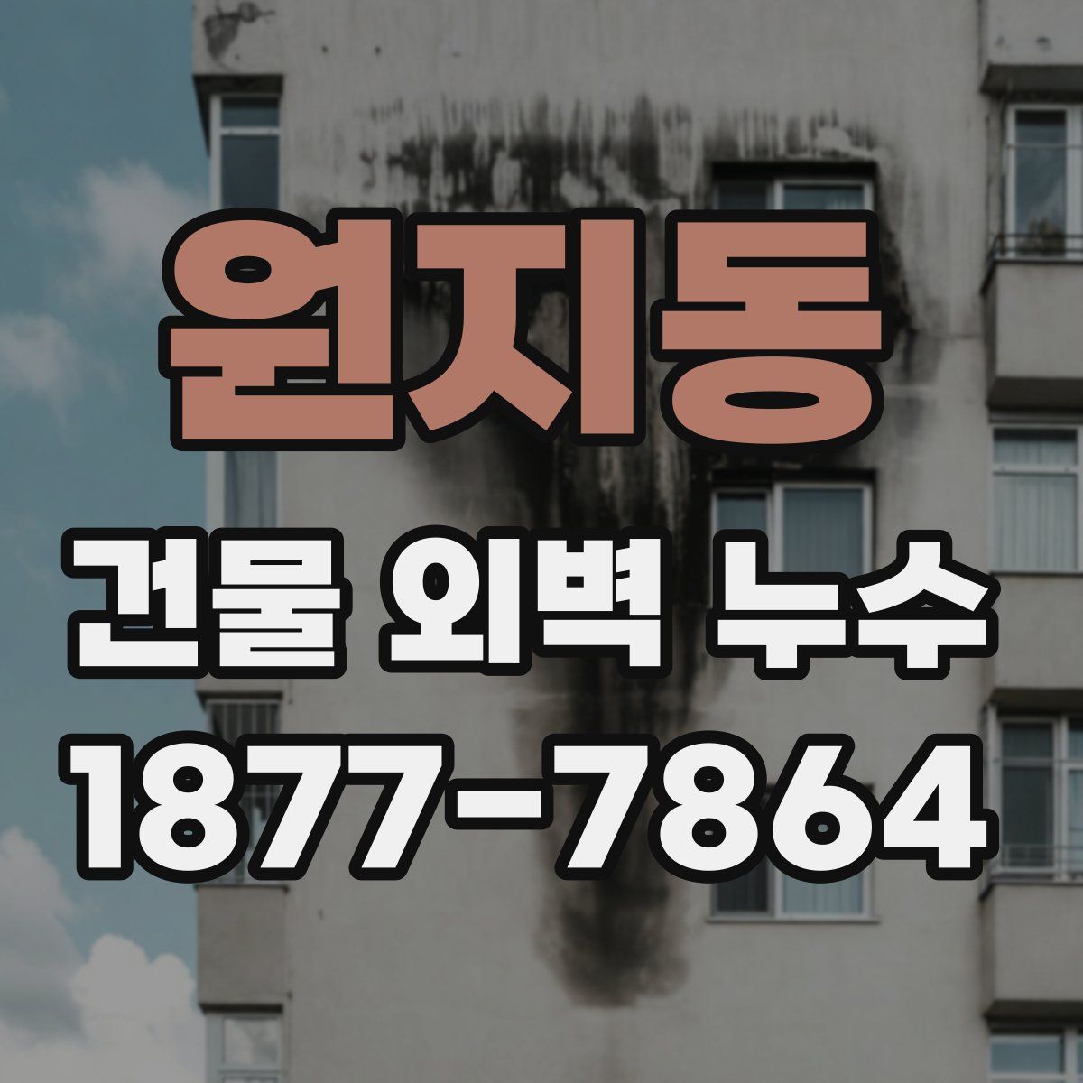 원지동 건물 외벽 누수