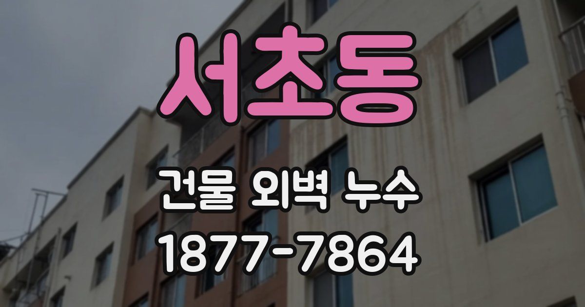 서초동 건물 외벽 누수