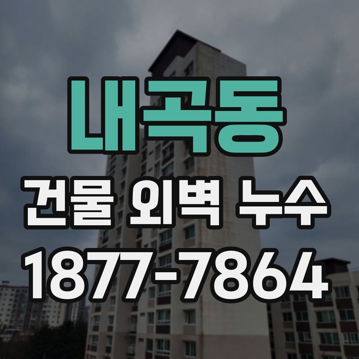 내곡동 건물 외벽 누수