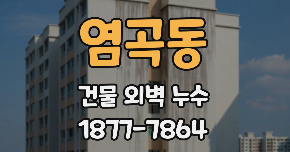 염곡동 건물 외벽 누수
