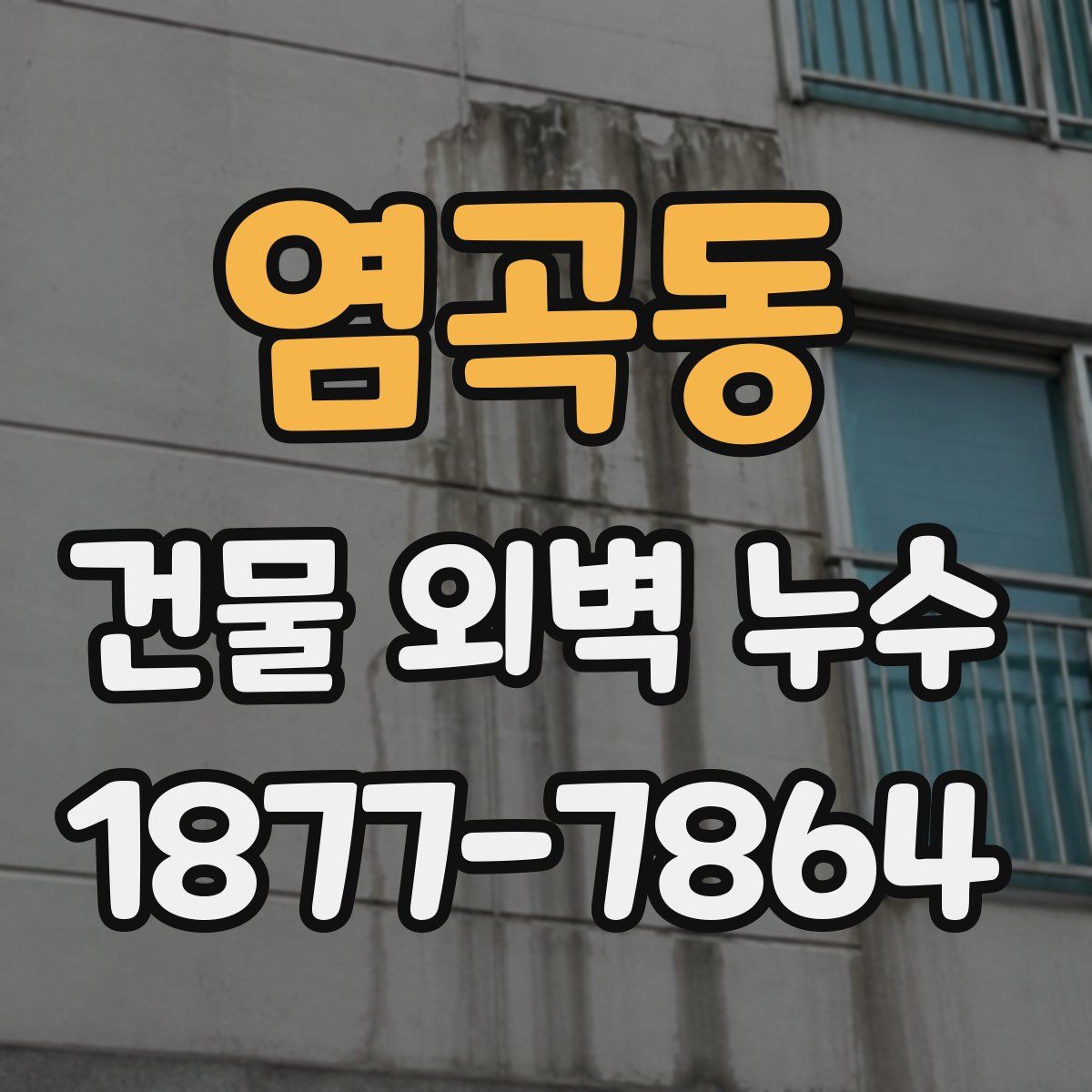 염곡동 건물 외벽 누수