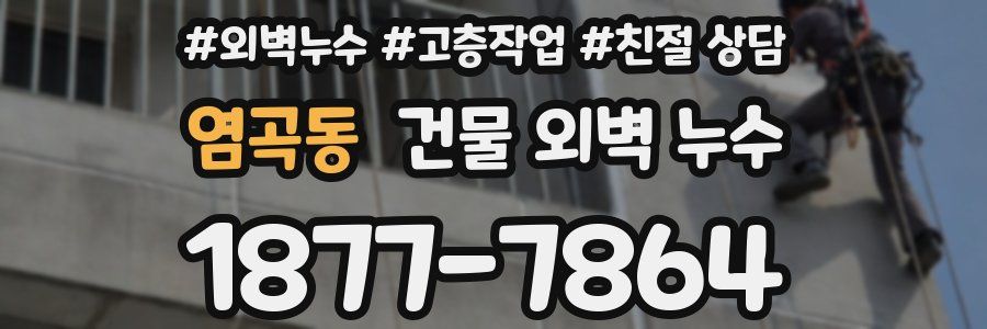 염곡동 건물 외벽 누수