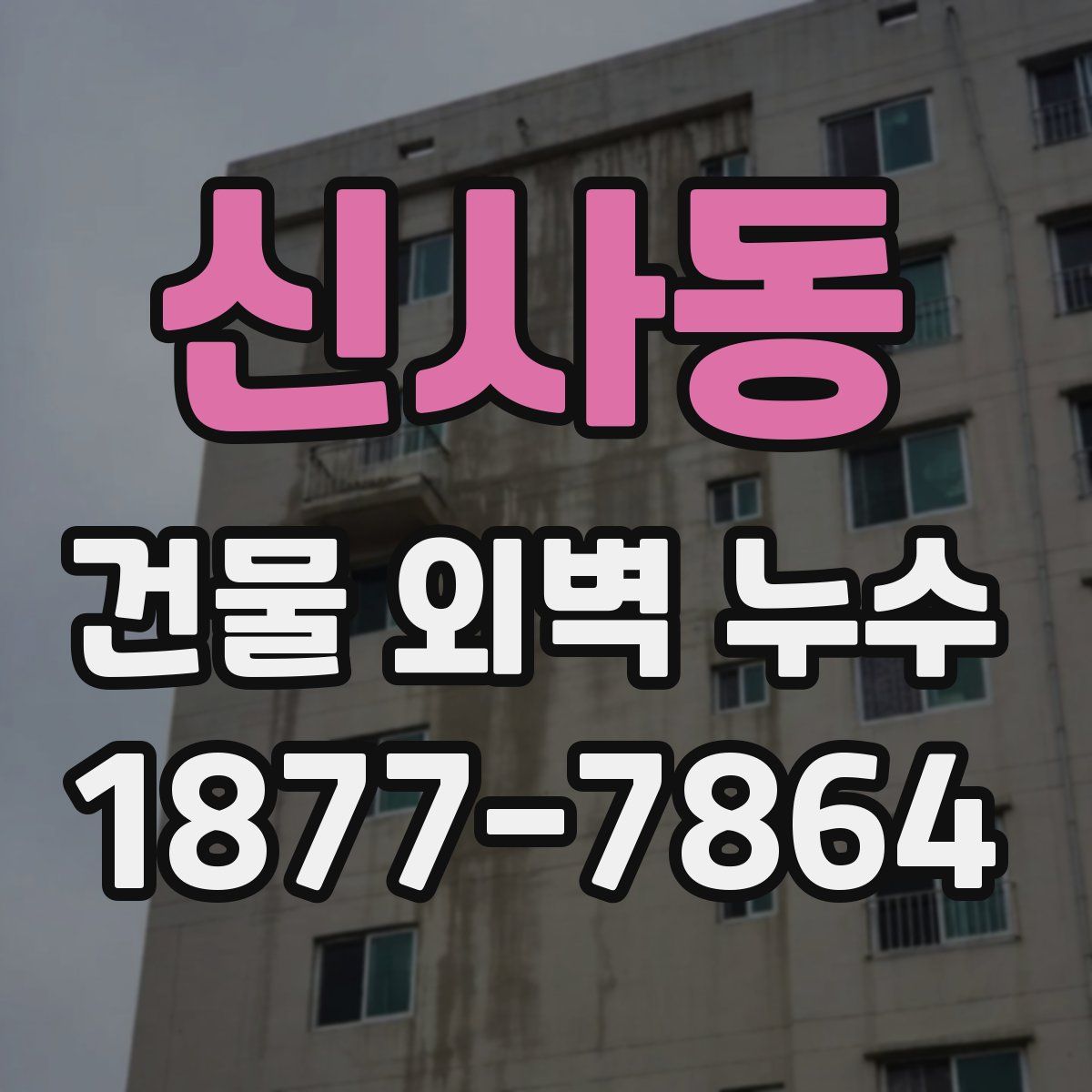 신사동 건물 외벽 누수