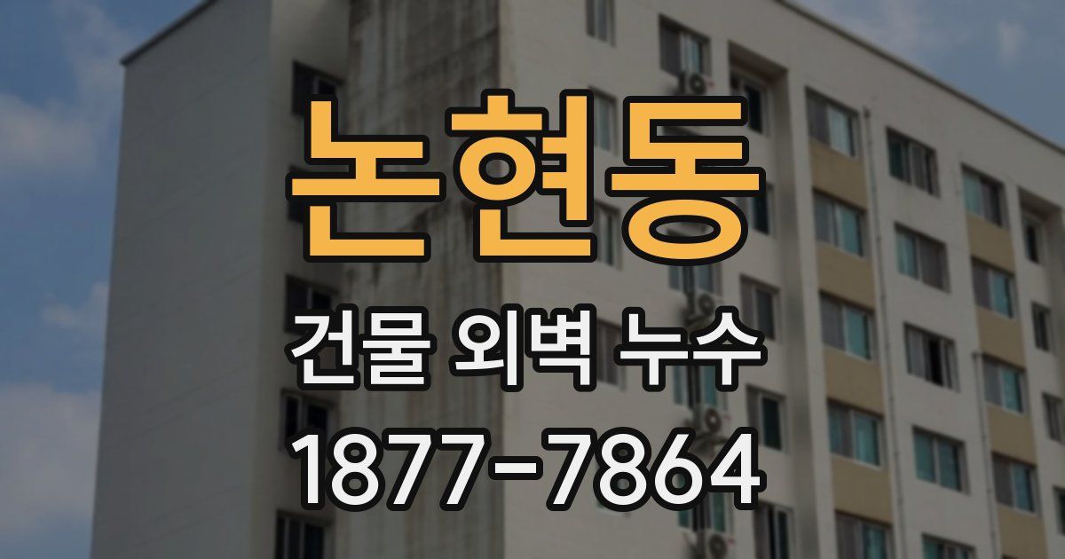 논현동 건물 외벽 누수
