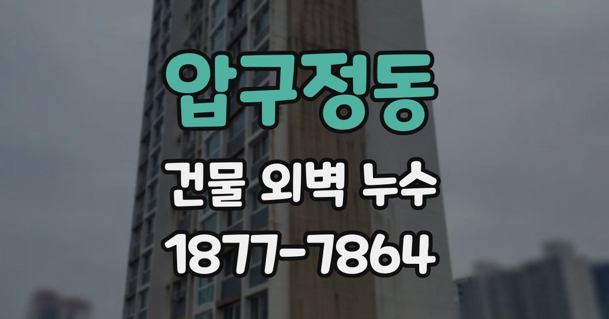 압구정동 건물 외벽 누수