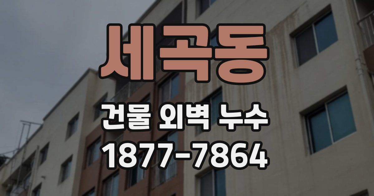 세곡동 건물 외벽 누수
