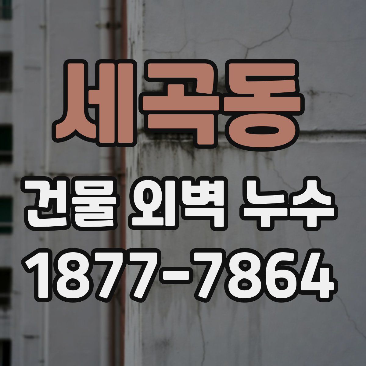 세곡동 건물 외벽 누수