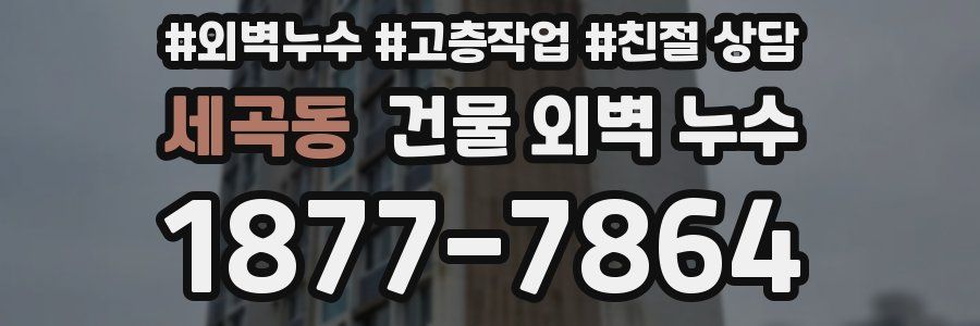 세곡동 건물 외벽 누수