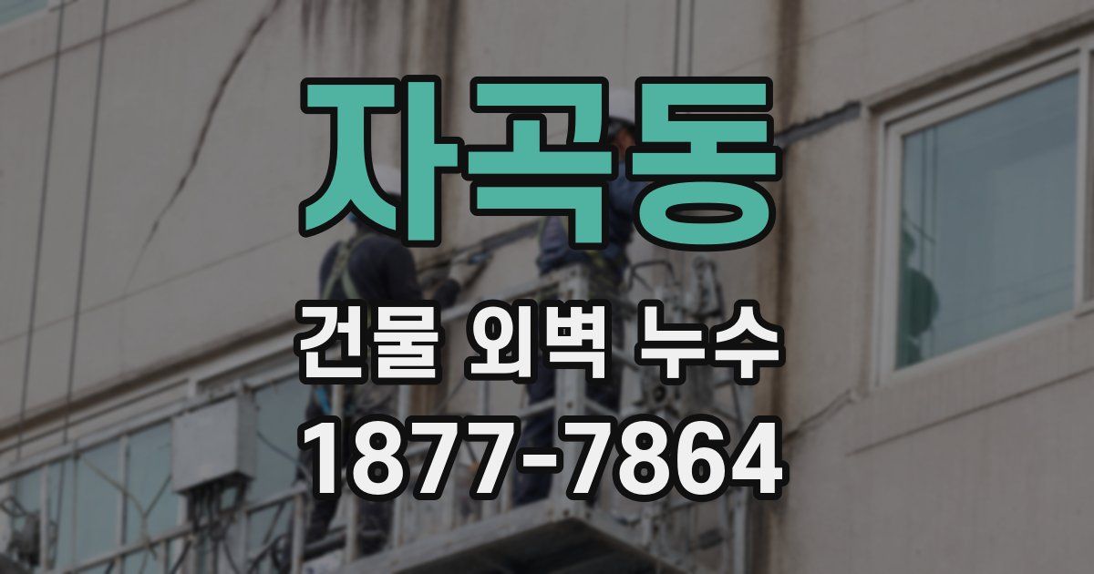 자곡동 건물 외벽 누수