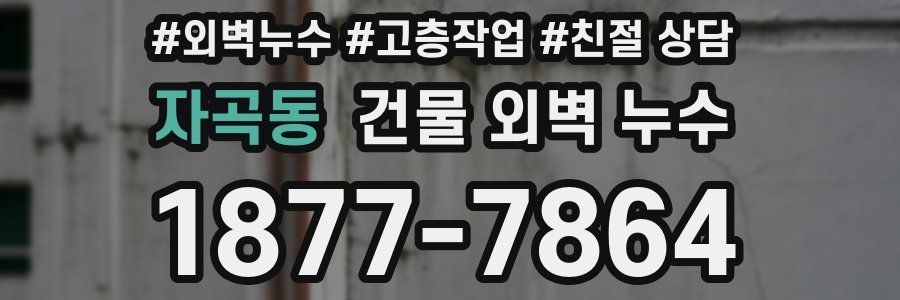 자곡동 건물 외벽 누수