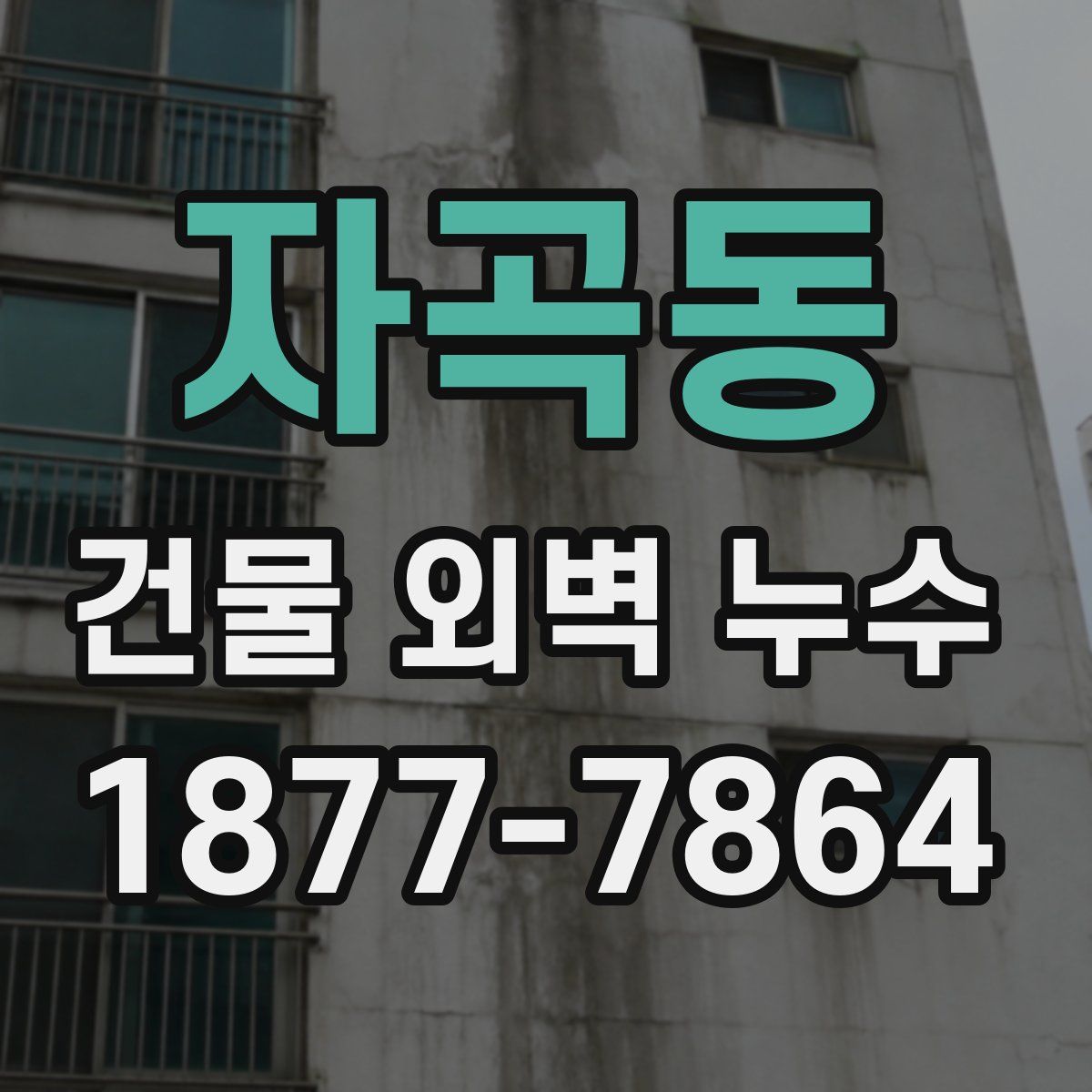 자곡동 건물 외벽 누수