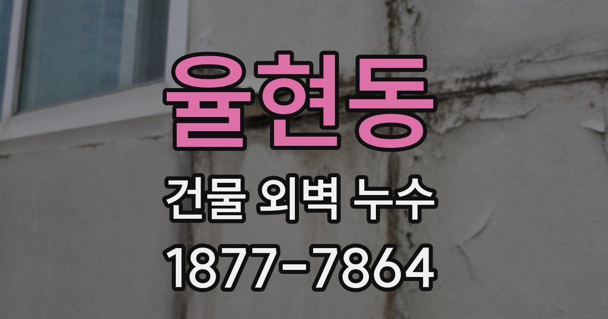 율현동 건물 외벽 누수