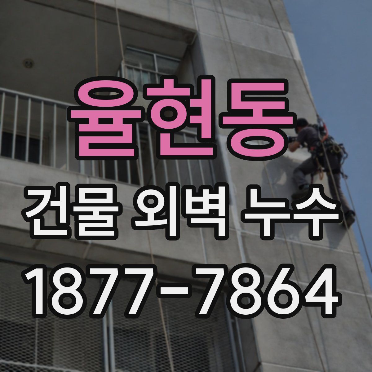 율현동 건물 외벽 누수