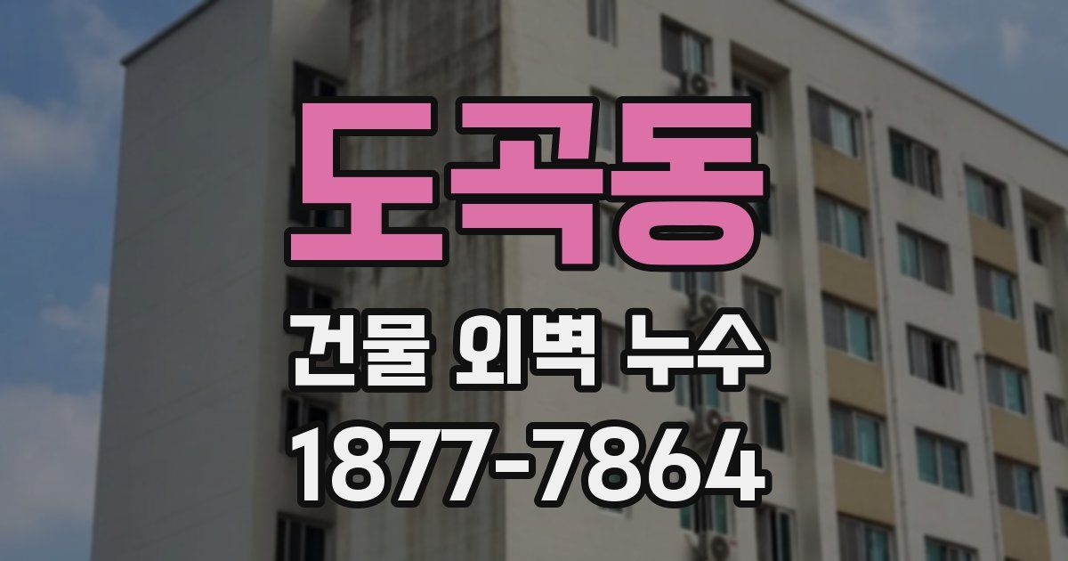 도곡동 건물 외벽 누수
