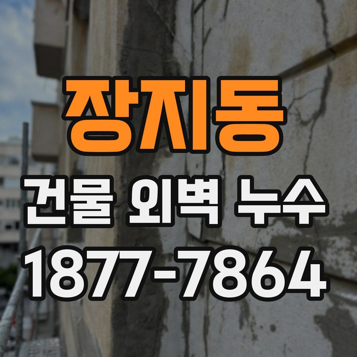 장지동 건물 외벽 누수
