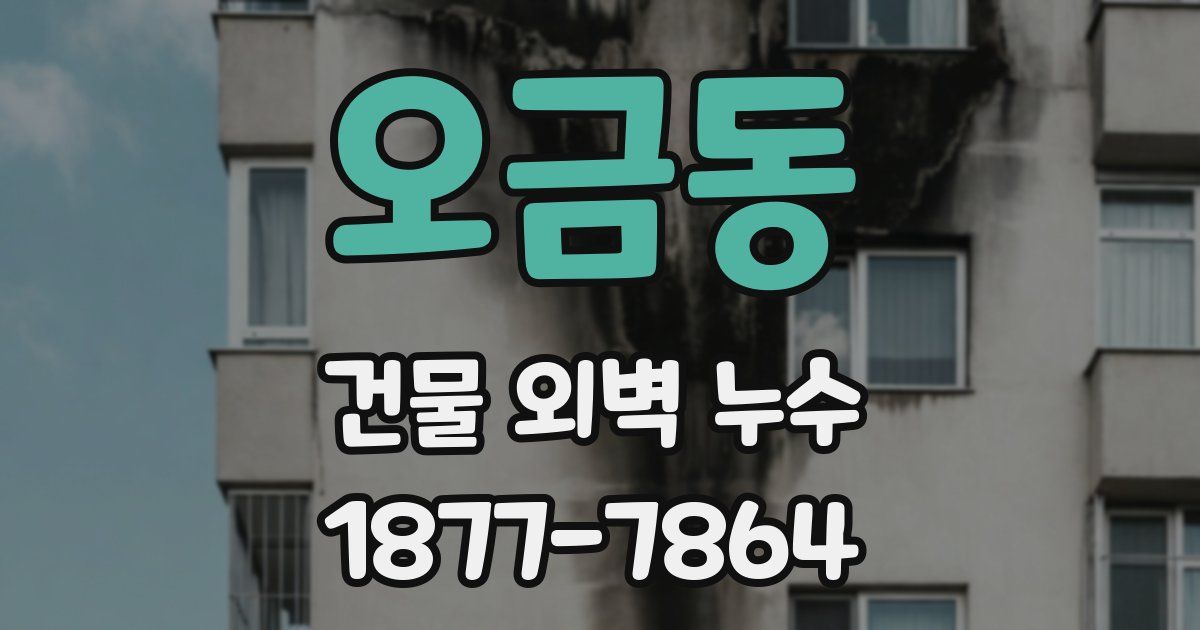 오금동 건물 외벽 누수