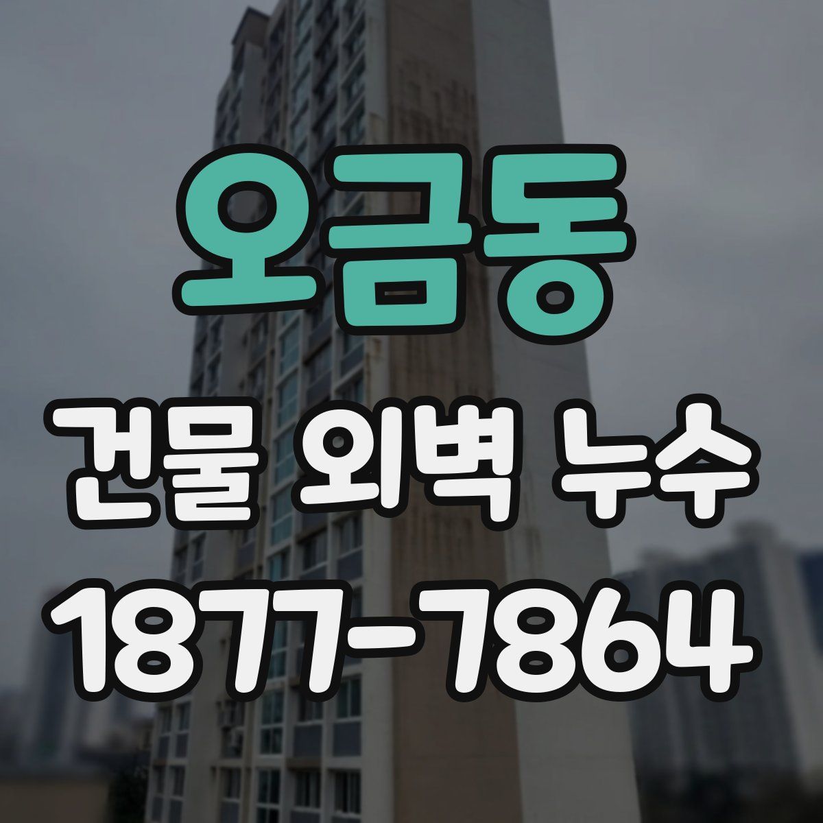 오금동 건물 외벽 누수