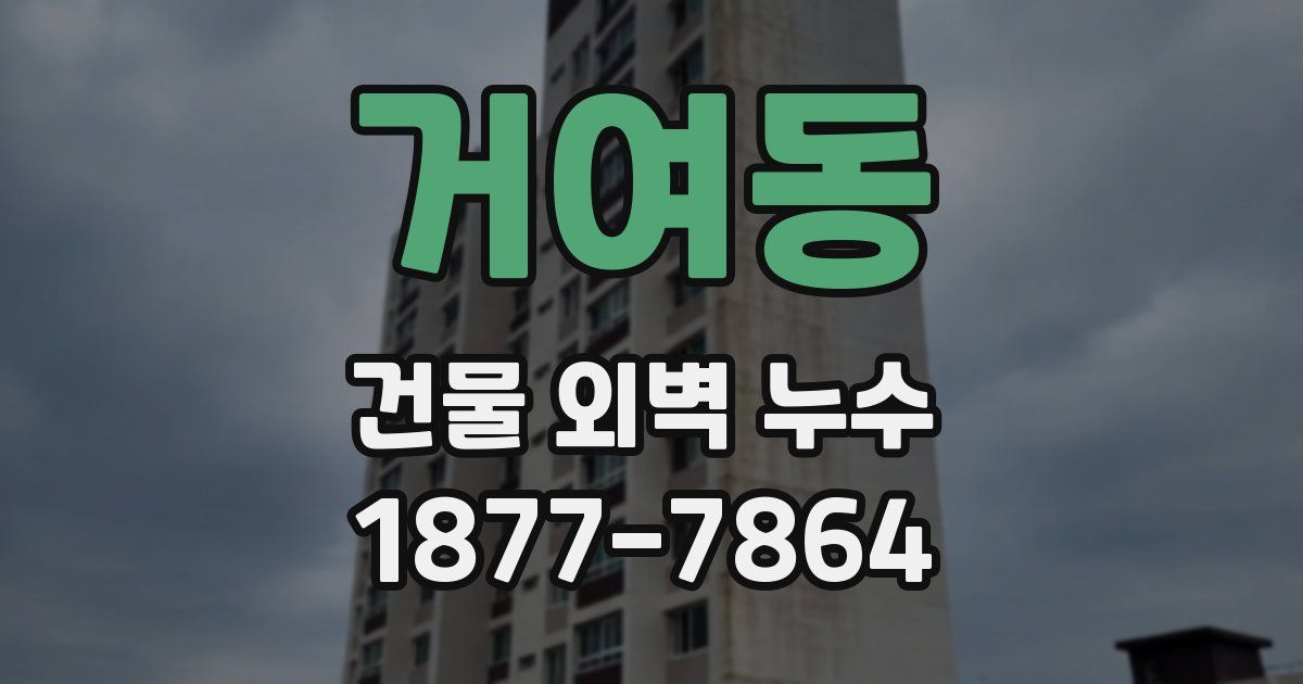 거여동 건물 외벽 누수
