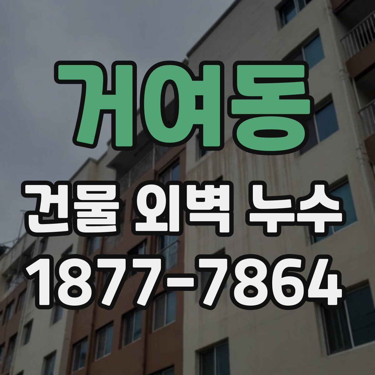 거여동 건물 외벽 누수
