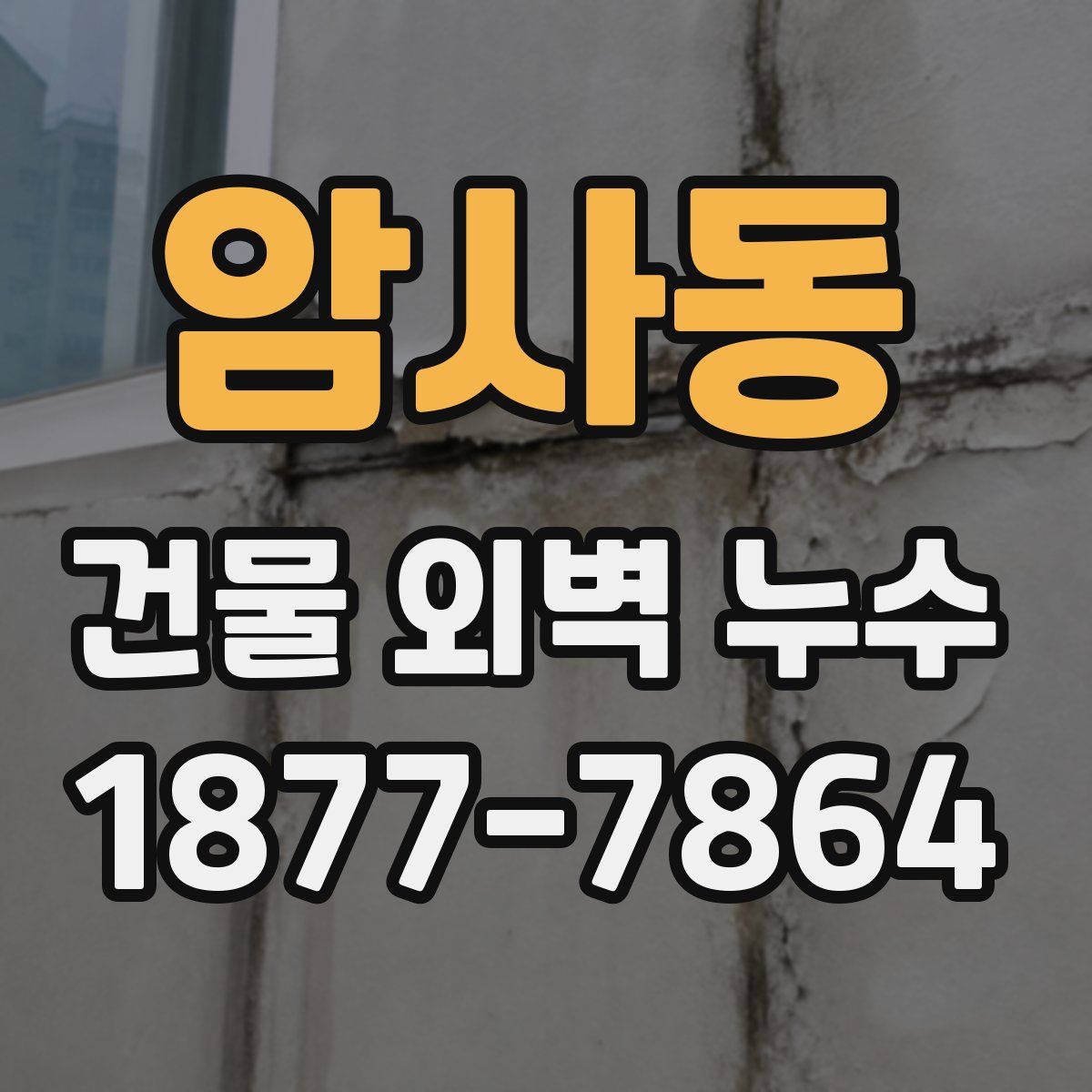 암사동 건물 외벽 누수