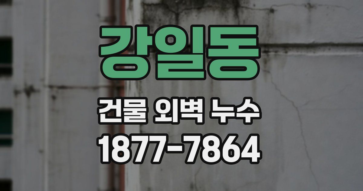 강일동 건물 외벽 누수