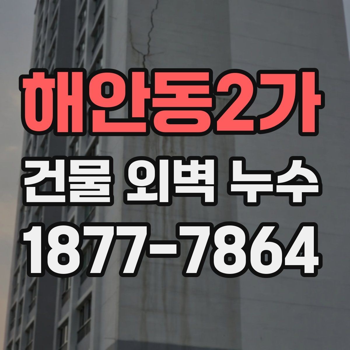 해안동2가 건물 외벽 누수 문제를 줄이는 외벽 관리법