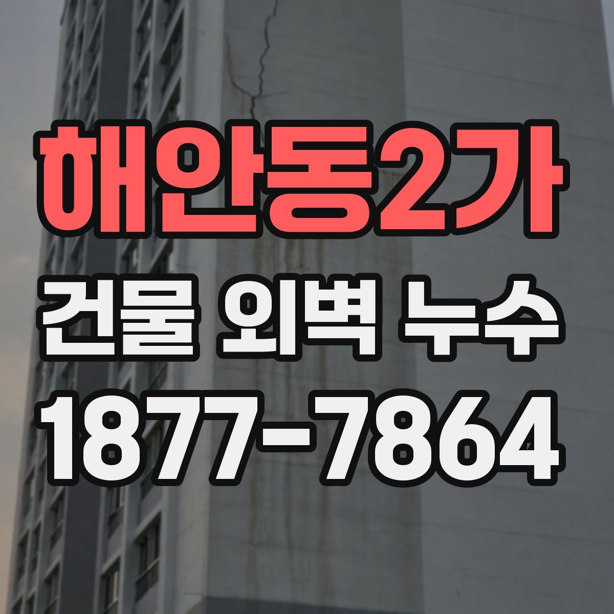 해안동2가 건물 외벽 누수