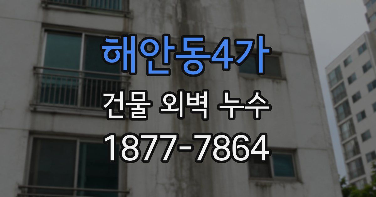 해안동4가 건물 외벽 누수