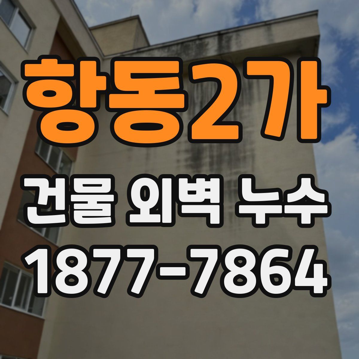 항동2가 건물 외벽 누수