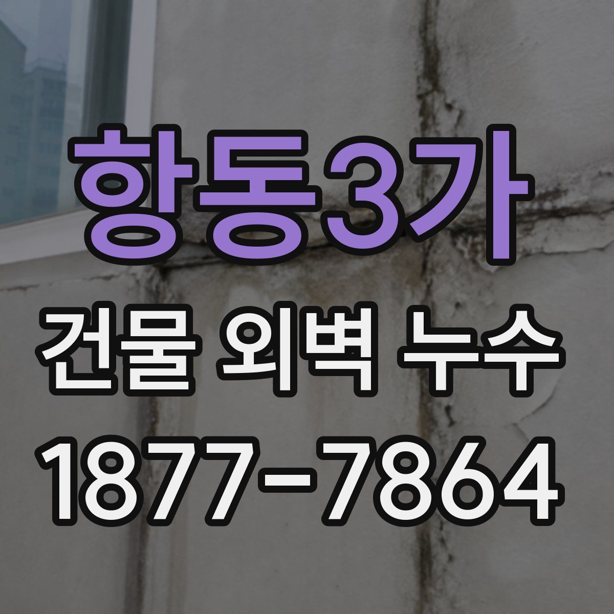 항동3가 건물 외벽 누수