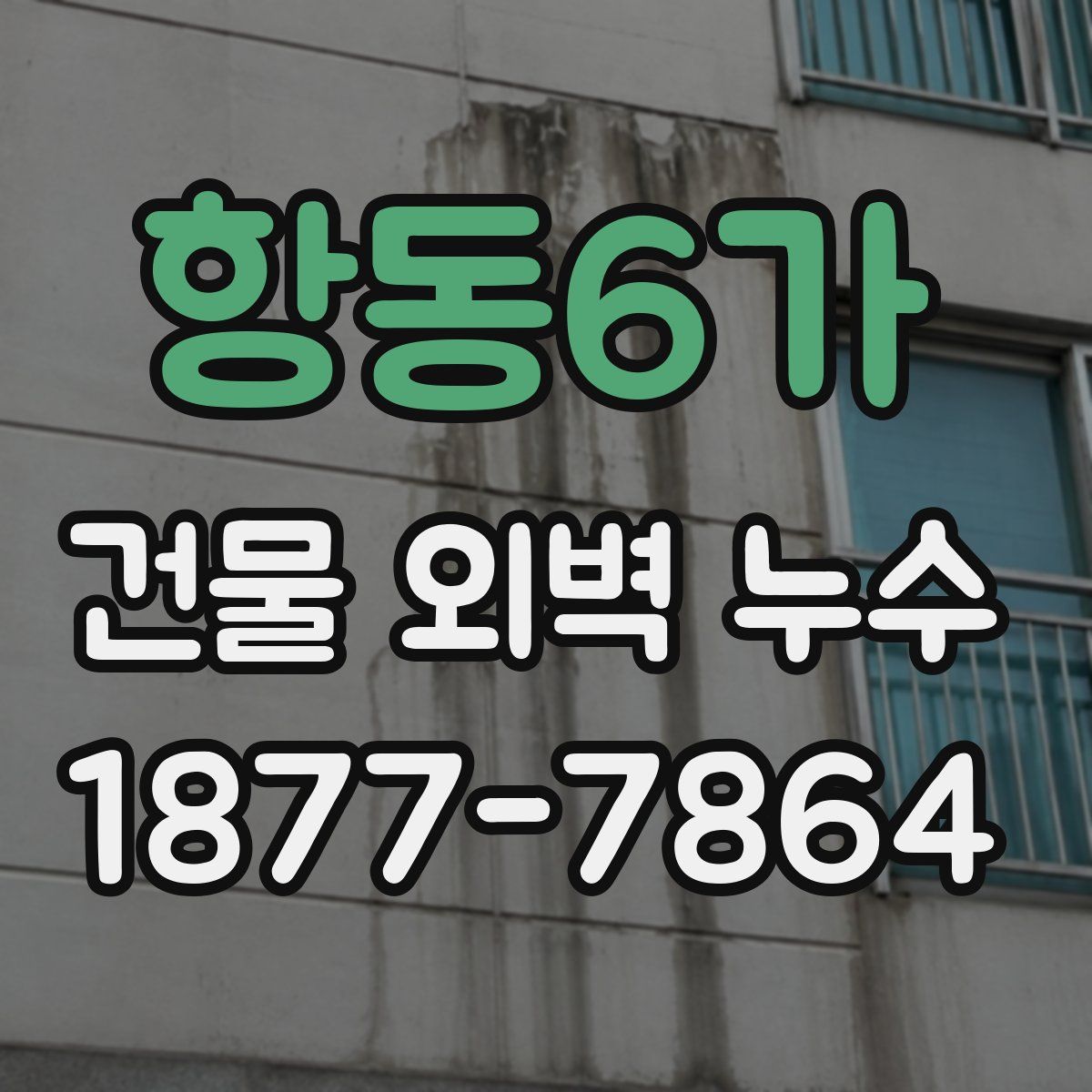 항동6가 건물 외벽 누수