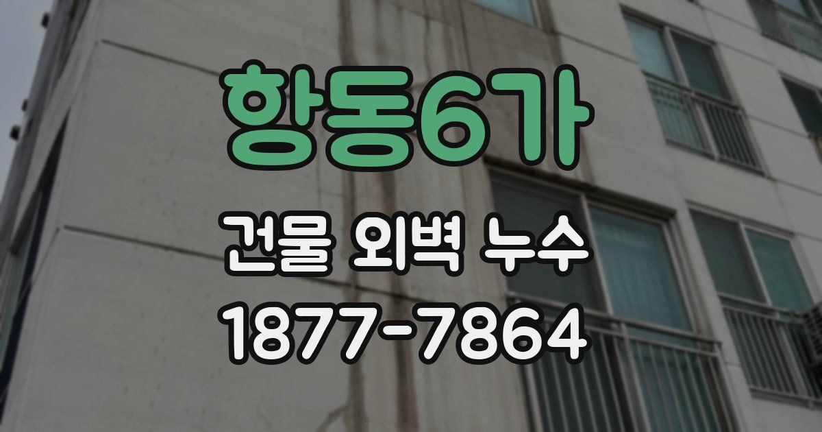항동6가 건물 외벽 누수