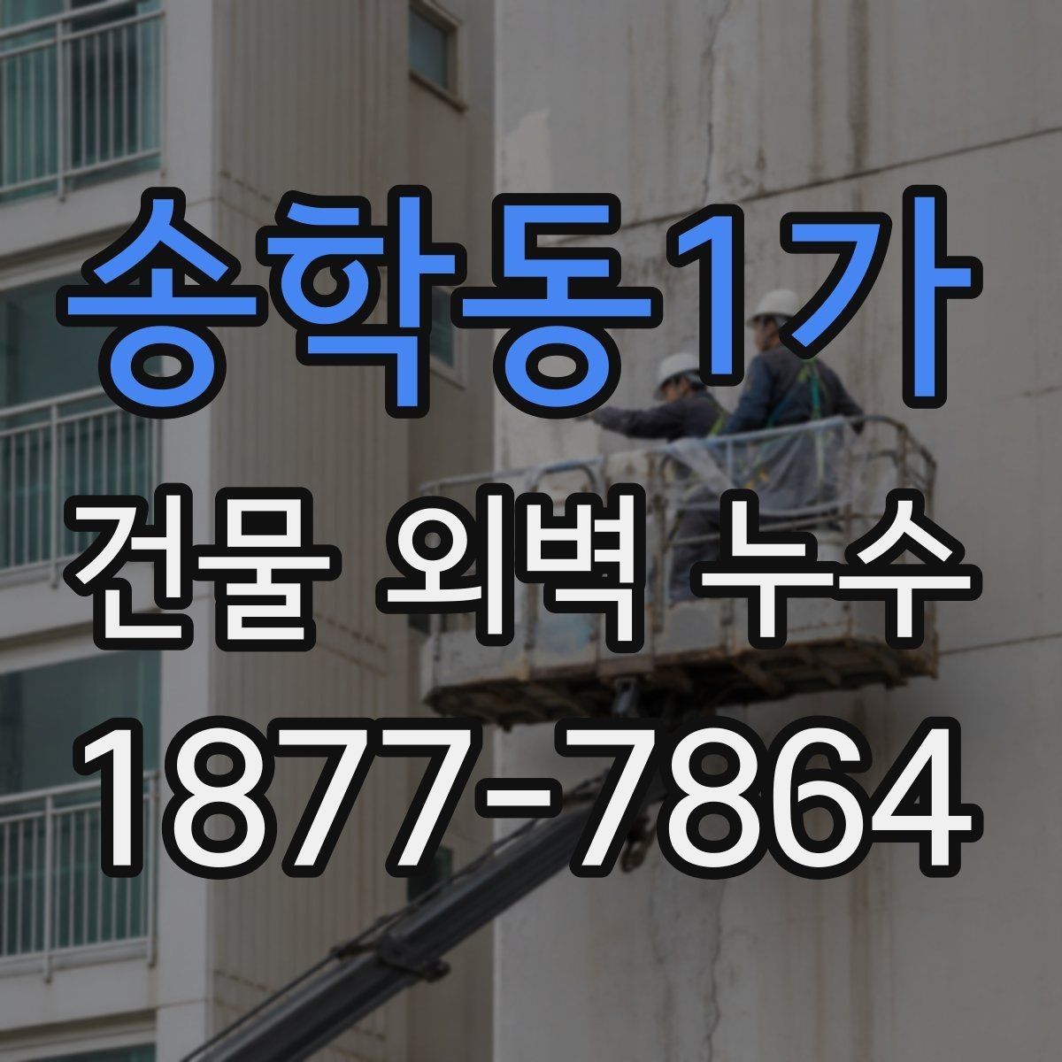 송학동1가 건물 외벽 누수 의심 부위의 특징