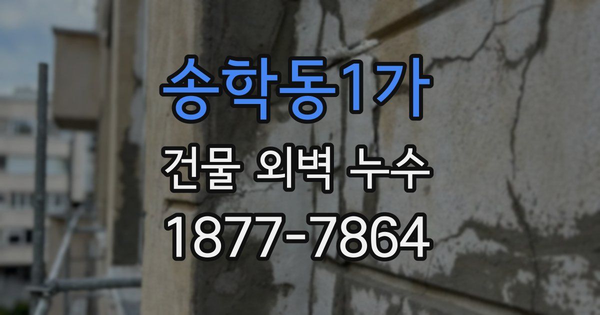 송학동1가 건물 외벽 누수