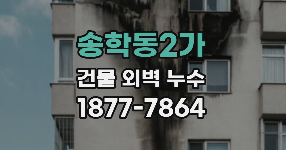 송학동2가 건물 외벽 누수
