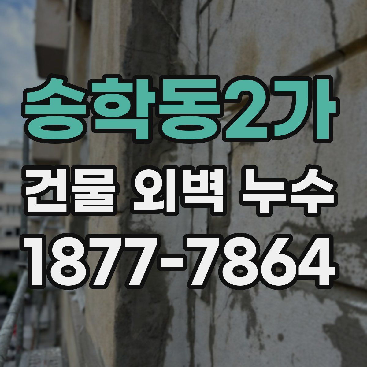 송학동2가 건물 외벽 누수