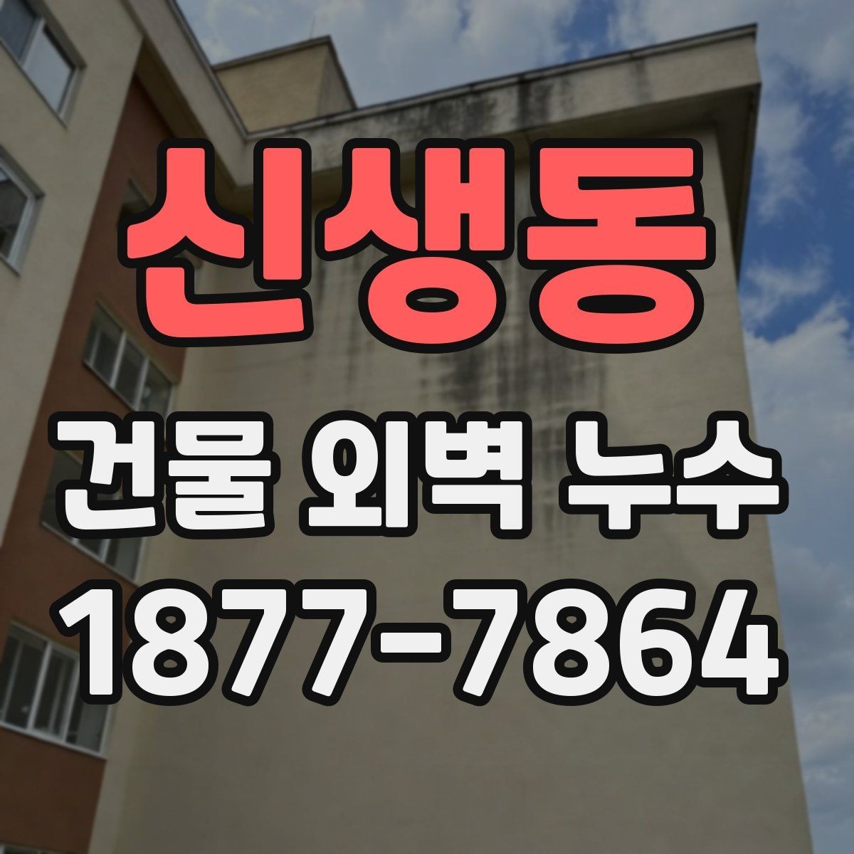 신생동 건물 외벽 누수 조기 발견을 위한 관찰 포인트
