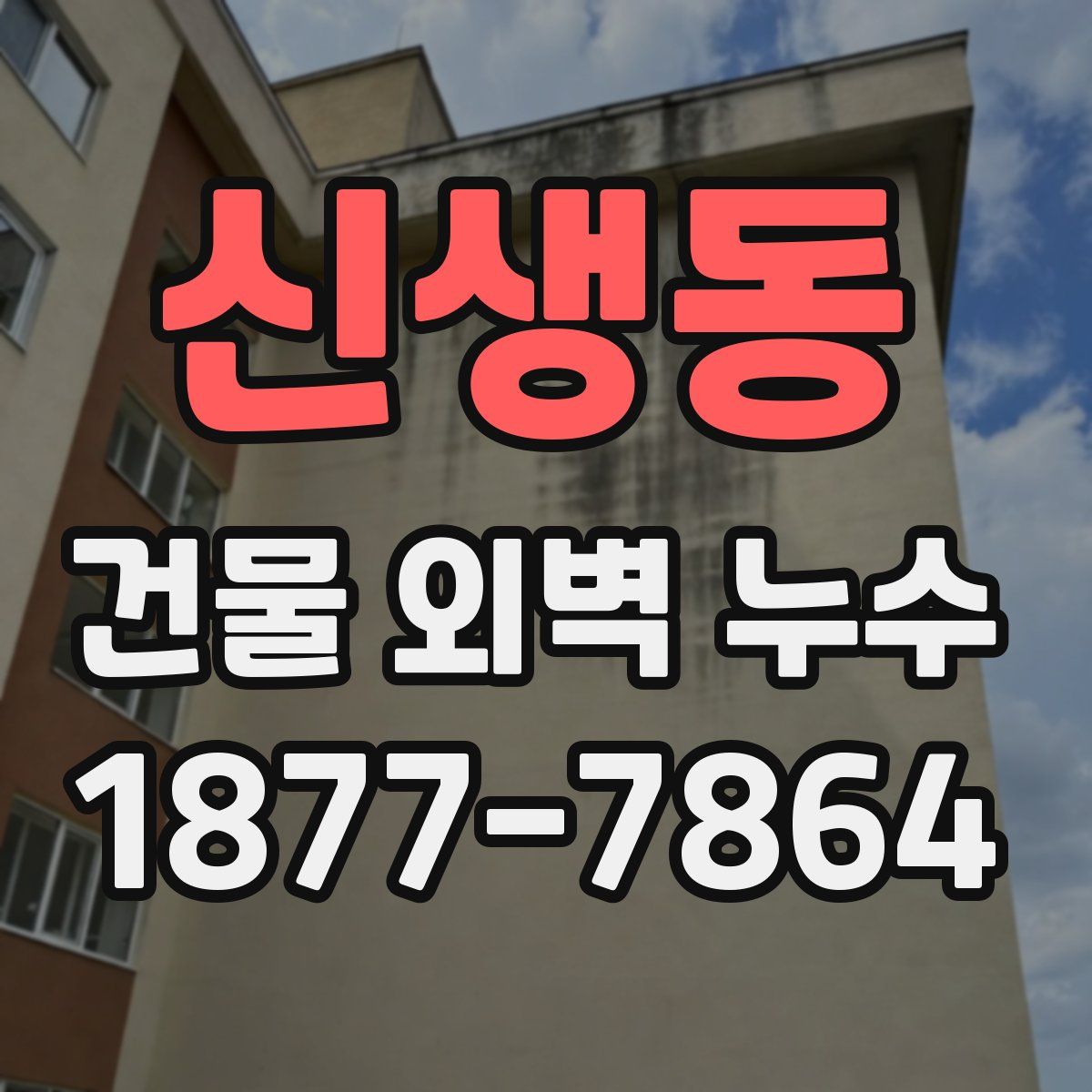 신생동 건물 외벽 누수
